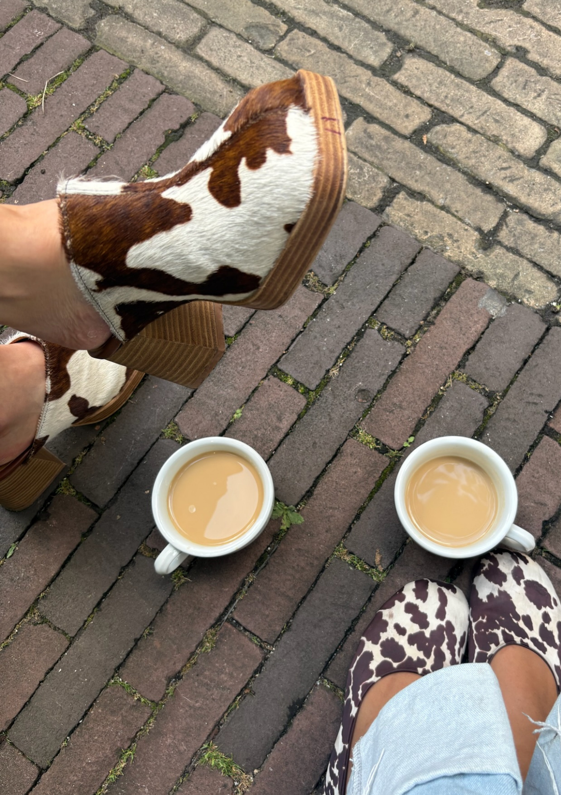 AFFÊRE | CLEO CLOG - CLASSY COW