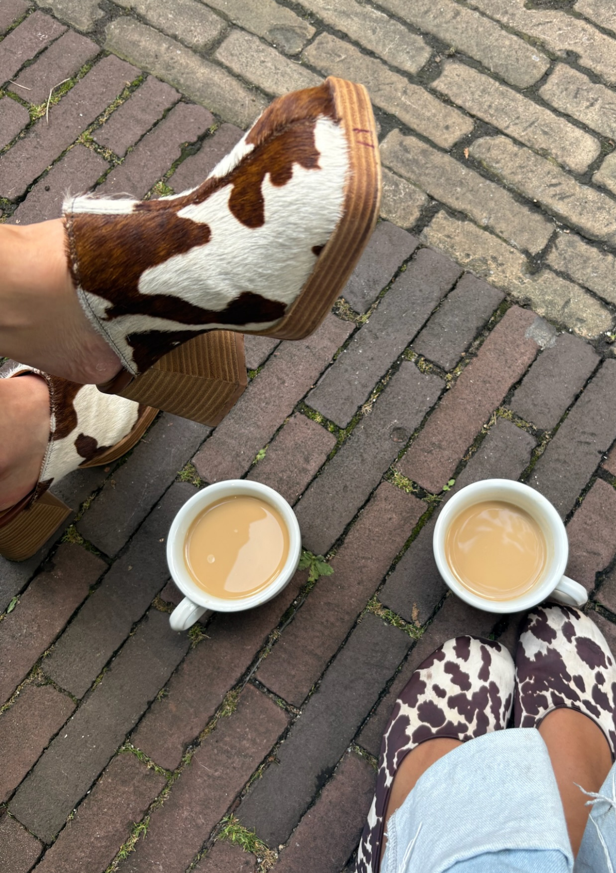 AFFÊRE | CLEO CLOG - CLASSY COW